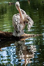 《装甲核心6》剧情预告 准备好了吗？